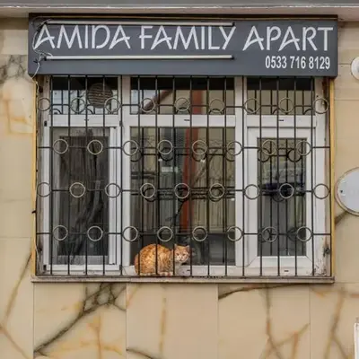 Amida Family apart
