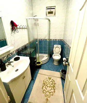 a bathroom with a shower and a sink and a toilet at Best house for family in Istanbul