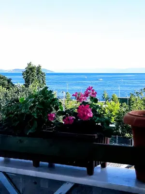 a window box filled with flowers on a balcony at Walnut Shell Hotel in Istanbul