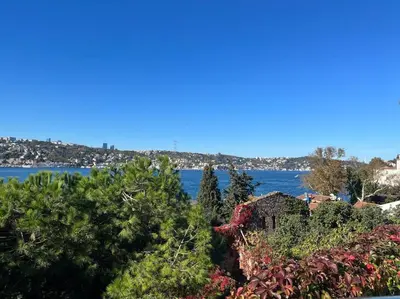 a view of a body of water with trees at Bosphorus waterfront flat, Cengelköy in Istanbul