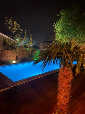 a palm tree sitting next to a swimming pool at night at Nefes Vılla Sapanca in Sakarya