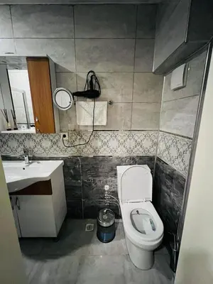 a small bathroom with a toilet and a sink at Bona apart in Istanbul