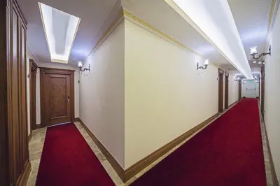 a hallway with a red carpet and a door at Lausos Palace Hotel Şişli in Istanbul