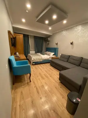 a living room with a couch and a bed at Riverland Suites Apart Hotel in Istanbul