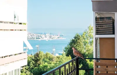 a bird sitting on a balcony looking out at the water at Homie Suites - Historical Apartments in the center of Beşiktaş in Istanbul