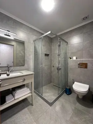 a bathroom with a shower and a sink and a toilet at Boutique Dedem Hotel Sultanahmet in Istanbul