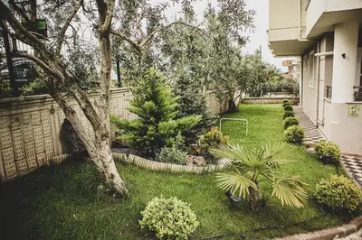 a yard with a tree and some plants at Doğanın Kalbindeki Eviniz-9 Kişi in Gemlik