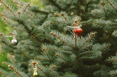 a christmas tree with a red ornament on it at Doğanın Kalbindeki Eviniz-9 Kişi in Gemlik