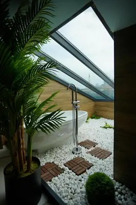 a bathroom with a tub and a palm tree at Vanilla 11 in Istanbul