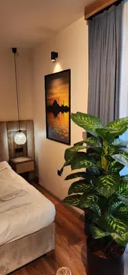 a bedroom with a bed and a potted plant at Vanilla 11 in Istanbul