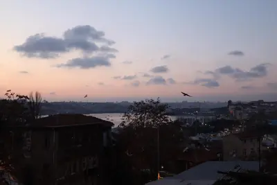 a view of a city with birds flying in the sky at Galata istanbul Hotel in Istanbul