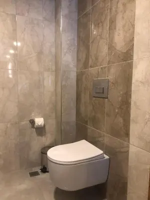 a bathroom with a toilet and a shower at Grand İska Palace in Istanbul
