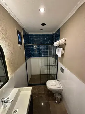 a bathroom with a shower and a toilet and a sink at Park Hotel & Private Transportation İstanbul Airport-By Loft in Arnavutköy