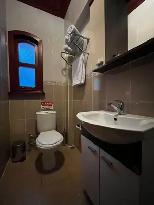 a bathroom with a toilet and a sink at Lily Mansion in Istanbul