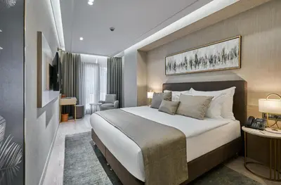 a hotel room with a large bed and a chair at Rayelin Hotel Istanbul Old City in Istanbul