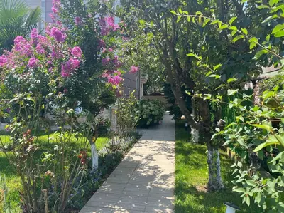 a garden with pink flowers and a walkway at Villa Elysium in Gebze