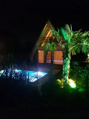 a house at night with a palm tree in front at Teona Kartepe Bungalov in Kartepe