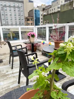 a patio with chairs and a plant in a pot at Ten Rooms Istanbul Hotel in Istanbul