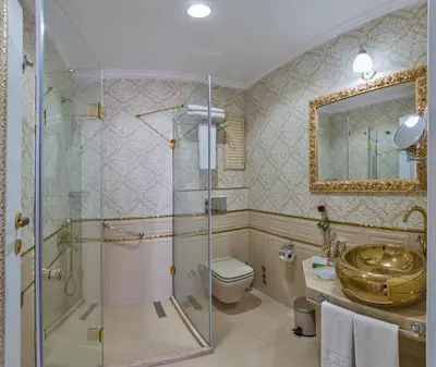 a bathroom with a shower and a toilet and a sink at Galatower Hotel in Istanbul