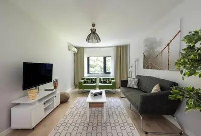 a living room with a couch and a tv at Gorgeous Bright New 2BD Central Home! #212 in Istanbul