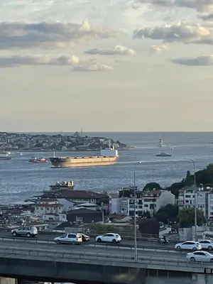 a highway with cars and a cruise ship in the water at Mona Bosphorus Hotel in Istanbul