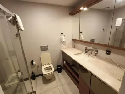 a bathroom with a toilet and a sink and a mirror at NEW FALCON Palas OTEL in Istanbul