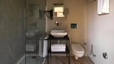 a bathroom with a shower and a sink and a toilet at Velour Hotel Spa Restaurant in Sakarya