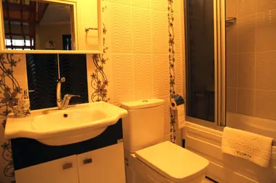 a bathroom with a toilet and a sink at Bizim Ev in Sapanca