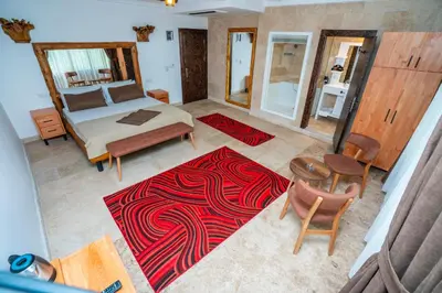 a bedroom with a bed and a red carpet at PASHA PALACE HOTEL in Istanbul