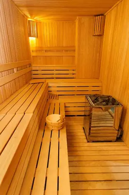 an inside of a wooden sauna with a toilet at Fesa Business Hotel in Gebze