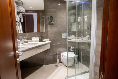 a bathroom with a shower and a toilet and a sink at Grand Aras Hotel & Suites in Istanbul