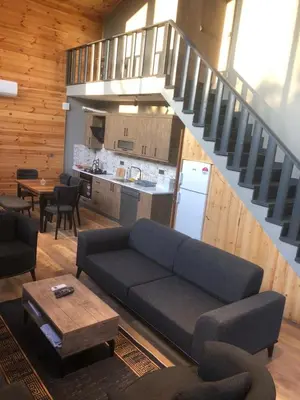 a living room with a couch and a kitchen at SAPANCA FAMİLY RESORT in Kartepe
