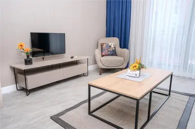 a living room with a television and a chair at Olea Suites Otel in Gemlik