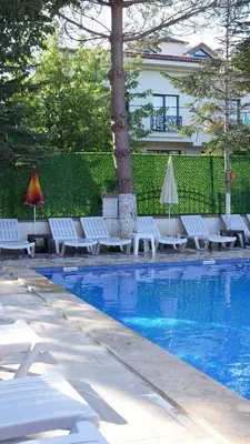a pool with lounge chairs and a tree and a building at Destina Boutique Hotel Ağva in Sile