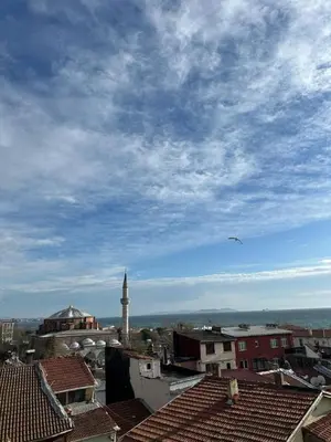 a view of a city with a kite in the sky at Sareban Hotel Istanbul in Istanbul