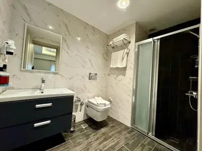 a bathroom with a sink and a toilet and a shower at Aram Edessa Hotel in Istanbul