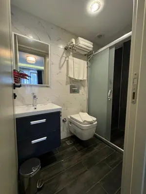 a bathroom with a toilet and a sink and a shower at Aram Edessa Hotel in Istanbul