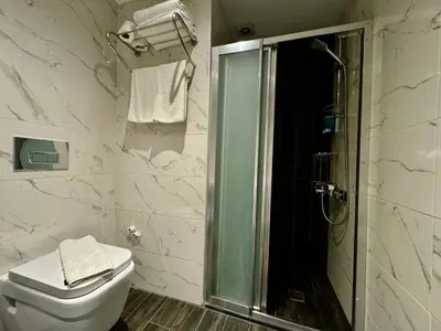 a white bathroom with a shower and a toilet at Aram Edessa Hotel in Istanbul