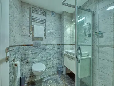 a bathroom with a shower and a toilet and a sink at GALATAGREENAPPLEHOTEL in Istanbul