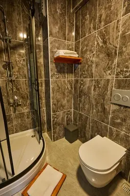 a bathroom with a toilet and a shower at Sabina Hotel near Grand Bazaar, city center in Istanbul