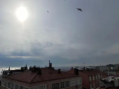 a bird is flying in the sky over buildings at 1001 Boutique House in Istanbul