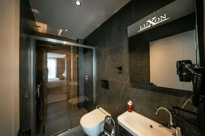 a bathroom with a shower and a sink and a toilet at Luxon Sapanca Family Villas in Sakarya
