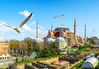 a view of a mosque with birds flying over it at Elmira Pera Hotel & - Special Class in Istanbul