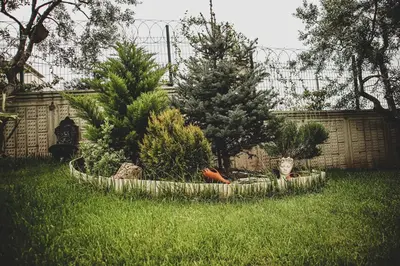 a yard with trees and plants in the grass at Doğanın Kalbindeki Eviniz-7 Kişi in Gemlik