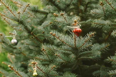 a christmas tree with a red ornament on it at Doğanın Kalbindeki Eviniz-7 Kişi in Gemlik