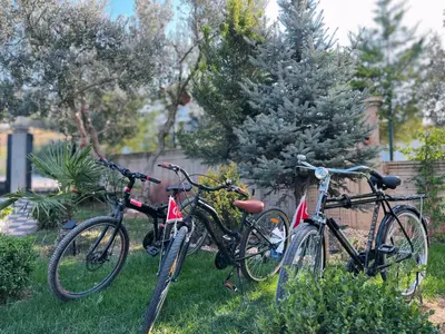 two bikes parked in the grass in a yard at Doğanın Kalbindeki Eviniz-7 Kişi in Gemlik