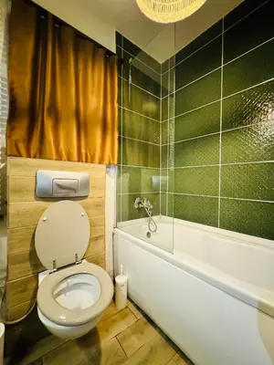 a bathroom with a white toilet and a bath tub at Дуплекс с видом на Босфор in Istanbul