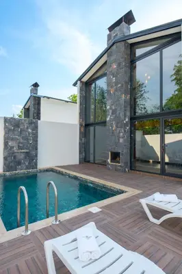a villa with a swimming pool and a house at Sapanca Kokina Suit in Sakarya