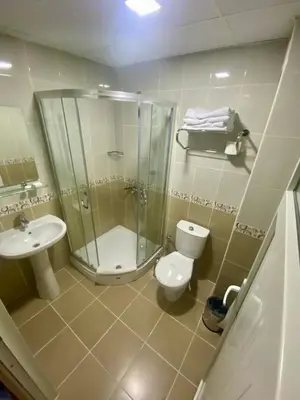 a bathroom with a shower and a toilet and a sink at Era Palace Hotel in Istanbul