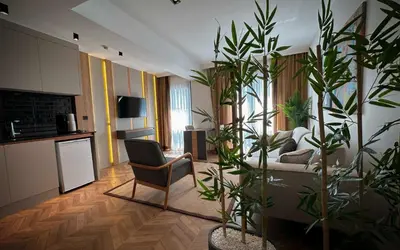 a living room with potted plants and a couch at Shiboo Suite Otel in Gebze